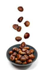 Falling edible sweet whole chestnuts, chest nuts in air isolated on white background