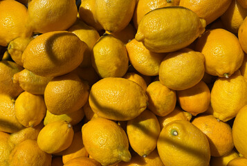 Lemon background pile, many yellow fruits texture in sunlight. Lemonade fruit pattern