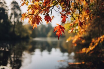 Autumn leaves over a tranquil lake