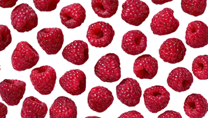 Red raspberries close-up, outlined