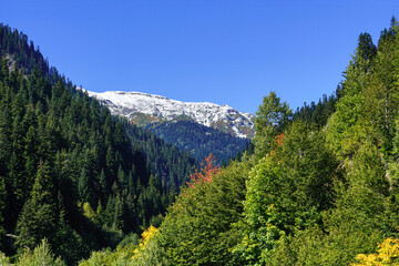 Footage of snow-capped mountains, forests and autumn colors.