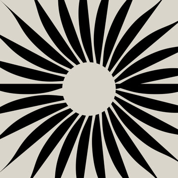 Optical Geometric Vector