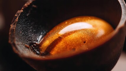 Close-up of a glossy amber droplet inside a cracked dark seed shell - Powered by Adobe