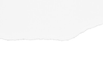 torn white paper texture isolated on white or transparent png