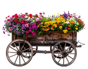 A vintage wooden cart overflowing with colorful flowers