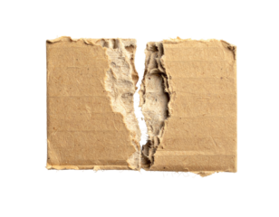 Torn cardboard box, split in two