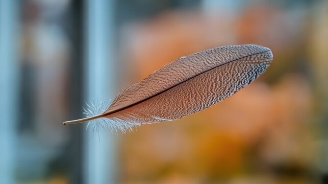 A single, light brown feather floats in the air, against a soft backdrop of muted autumnal colors - Powered by Adobe
