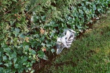 Plastic Waste in Green Ecosystem – Microplastic Pollution in Nature