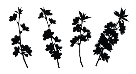 Four silhouette branches with blossom flowers delicate spring nature elements isolated vector