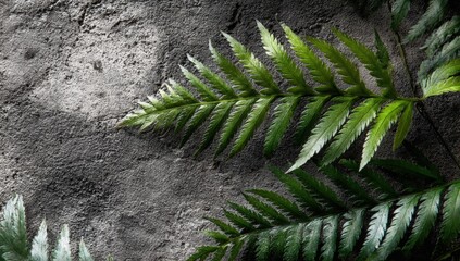 Close-up of lush fern fronds against a textured gray wall