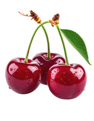 Three plump, glossy cherries with stems and a leaf