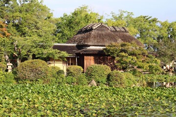 神野公園　隔林亭	