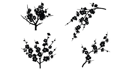 Delicate black cherry blossom branches scattered against white vector