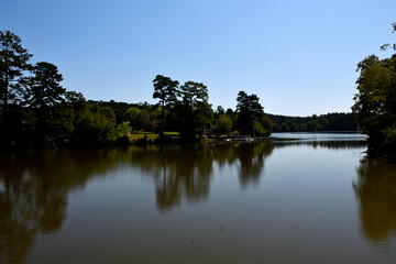 reflection of trees in water