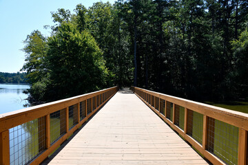 wooden walkway over the lake