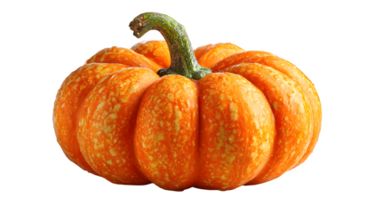 Pumpkin isolated with bright orange tones and natural stem, festive autumn look, isolated on white background