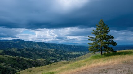 Scenic Hilltop View with Dark Clouds Over Mountains and Lone Tree in the Foreground