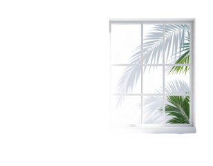 White window with palm leaves
