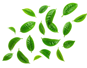 Fresh, vibrant green tea leaves scattered in a swirling pattern against a black background