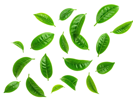 Fresh, vibrant green tea leaves scattered in a swirling pattern against a black background