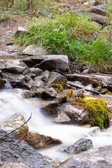 forest with river in long exposure and stones with moss in golden hour
