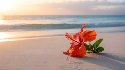 Vibrant hibiscus flower lies on sandy beach at sunset