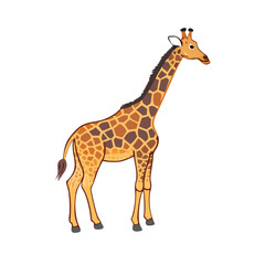 "Ultimate SVG Vector Design Bundle &ndash; Abstract, Geometric, Botanical, Mandala, Minimal, Vintage & Modern Elements for Cricut, Laser Cutting, Sublimation, and DIY Crafts"