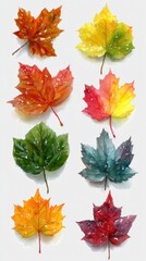 Colorful autumn leaves arranged in a grid showcasing vibrant seasonal hues of nature during fall