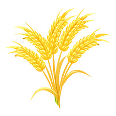 Golden Rice Ear Vector Illustration – Agricultural Grain Crop Design for Harvest and Farming.