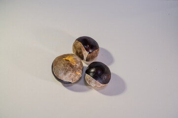 Three glossy horse chestnuts (buckeyes) isolated on a white background.