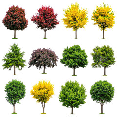 Fototapeta premium Colorful Autumn Trees in Grid