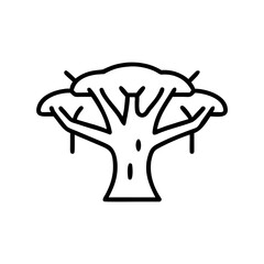 Obraz premium Dragon's Blood Tree illustration in minimalist black line art 