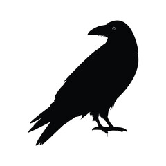 crow silhouette vector illustration on white background