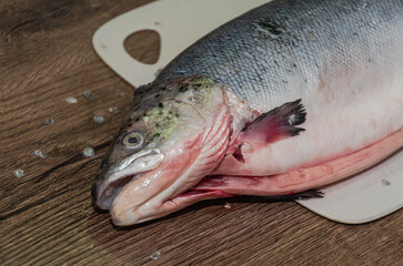 Fresh raw salmon fish on a cutting board at the chef