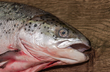 Fresh raw salmon fish on a cutting board at the chef