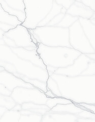 Obraz premium white marble background