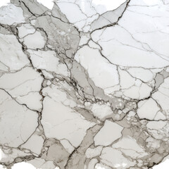 Elegant white marble surface with intricate vein patterns and natural textures showcased for design inspiration