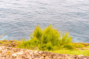 Pueblo de Llanes, Asturias, España.