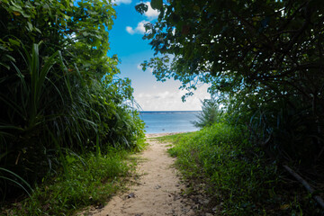 南風見田の浜から見た海、西表島、沖縄、夕方、8月