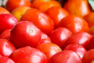 Fresh red tomatoes for cooking. High vitamin food.