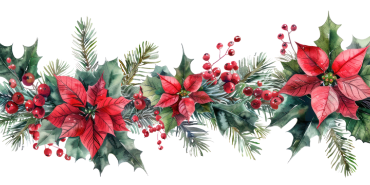 Vibrant watercolor illustration of festive garland with poinsettias and holly, adorned with red berries and lush greenery. Isolated on transparent background. PNG, cutout.