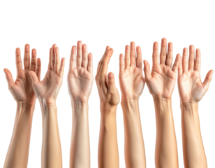 Many hands raised in the air