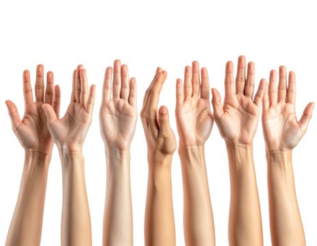 Many hands raised in the air