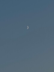 moon in the sky