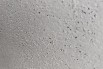 concrete wall background