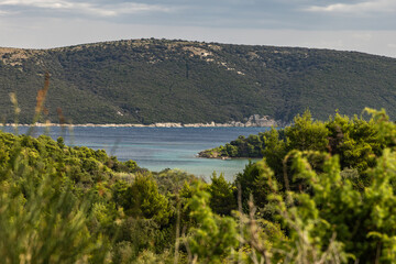 Fototapeta premium A path leading through a dense forest towards Podsilo Beach on the island of Rab, sand dunes, quicksand, Mediterranean vegetation