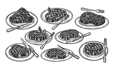 vector set of steak meat on plate