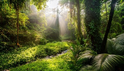 Obraz premium A Lush Green Jungle With Sunlight Shining Through The Trees The Scene Is Serene And Peaceful