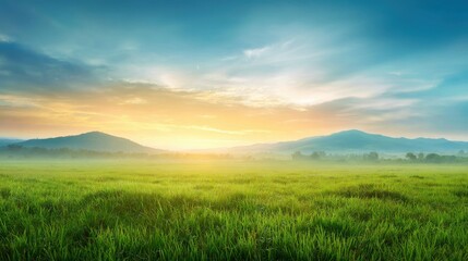 Golden light of sunrise illuminates lush green fields and distant mountains. Mist hangs in the air, creating a serene and peaceful atmosphere during early morning hours.