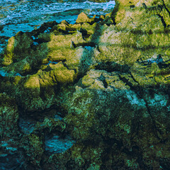 Abstract rocky coastal texture with green and yellow tones,